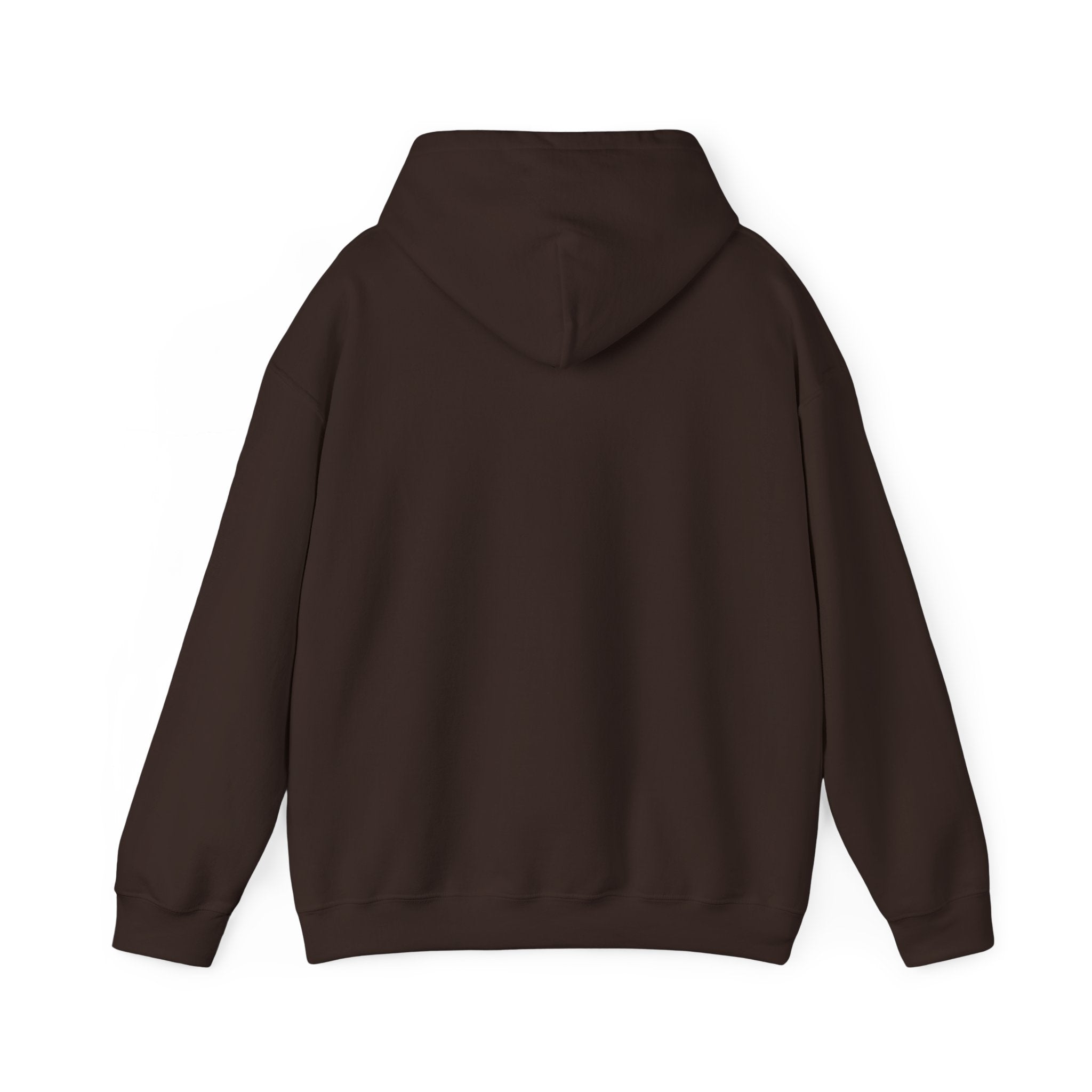 Still Becoming hoodie | retro rainbow wave graphic
