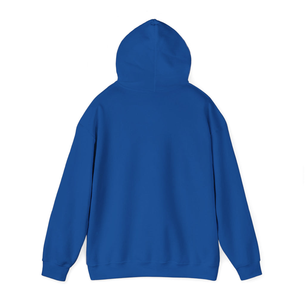 Still Becoming hoodie | retro rainbow wave graphic
