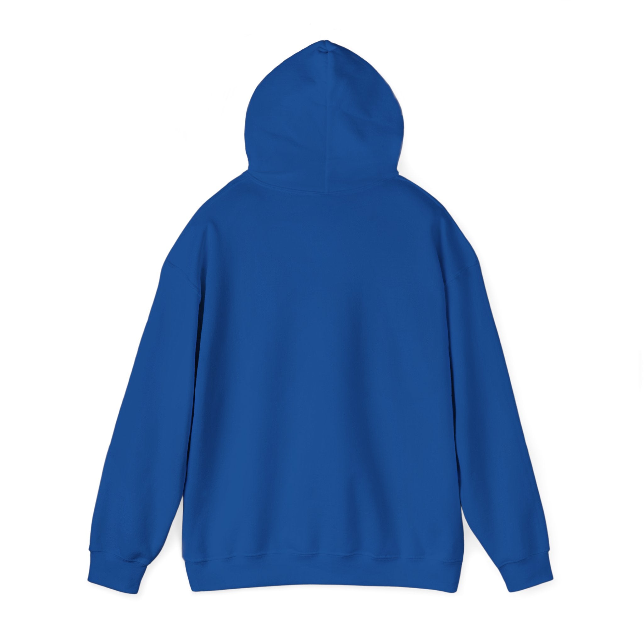 Still Becoming hoodie | retro rainbow wave graphic