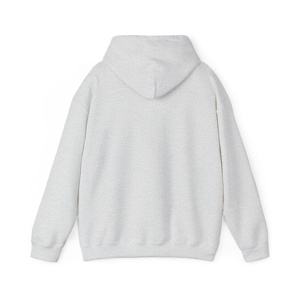 Still Becoming hoodie | retro rainbow wave graphic