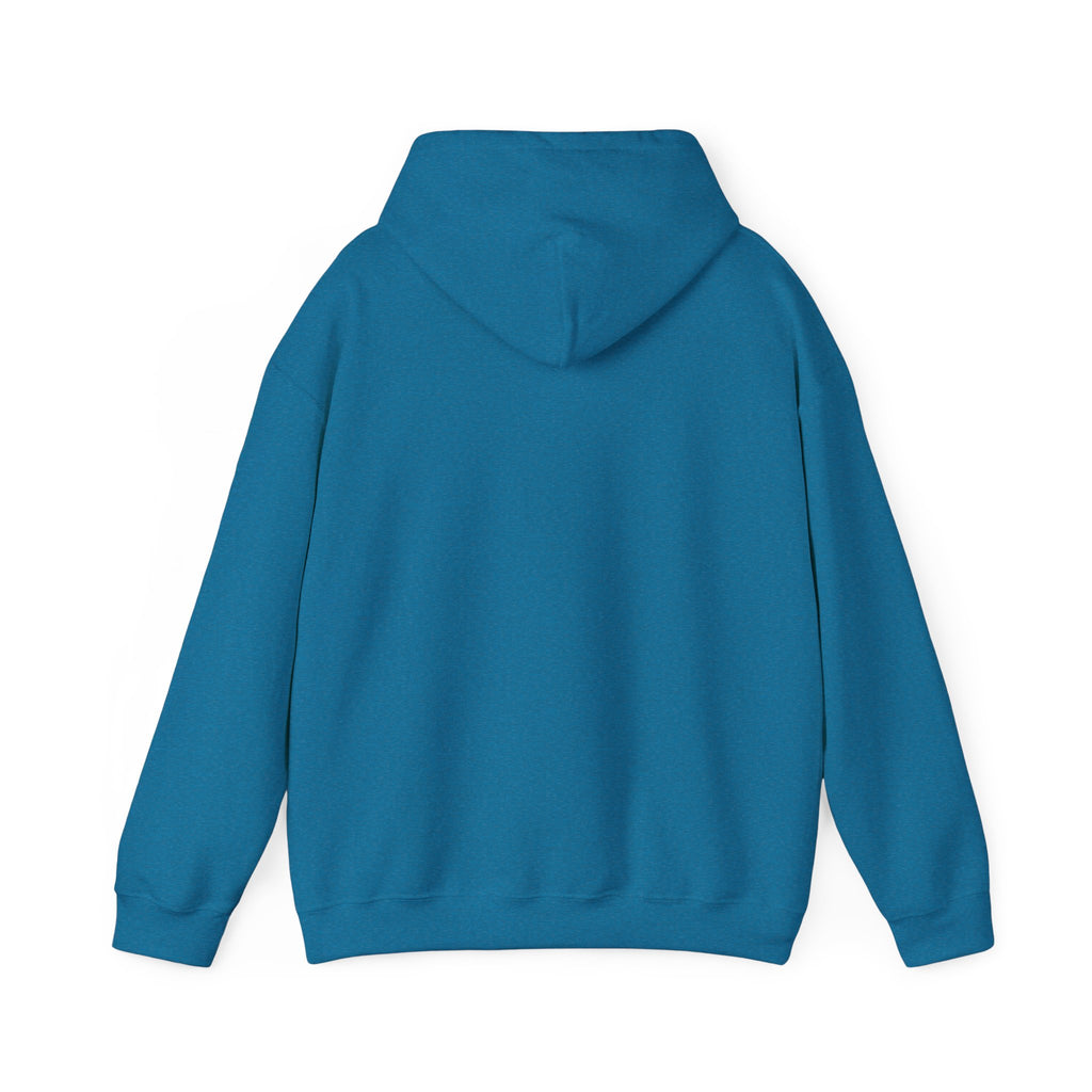 Still Becoming hoodie | retro rainbow wave graphic
