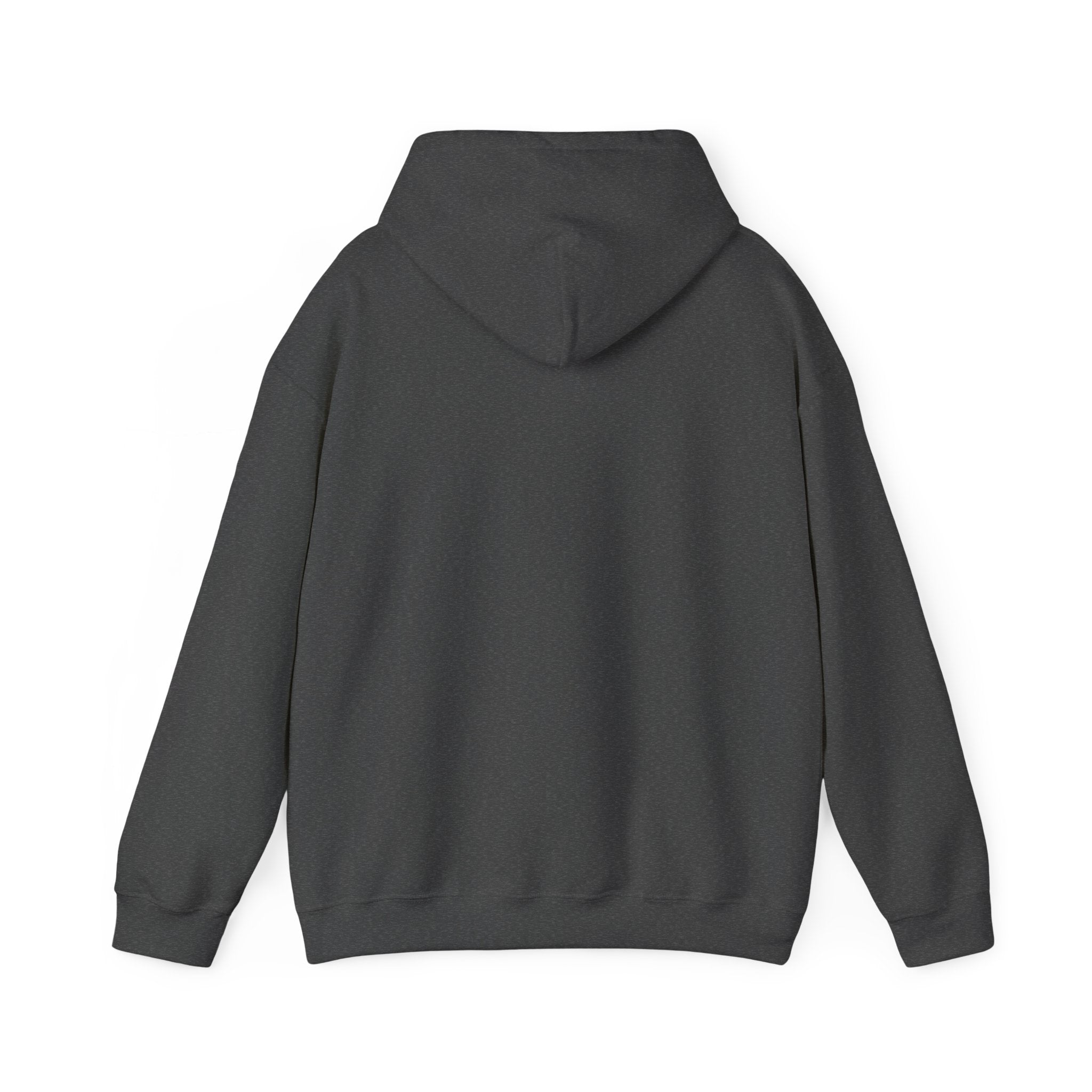 Still Becoming hoodie | retro rainbow wave graphic