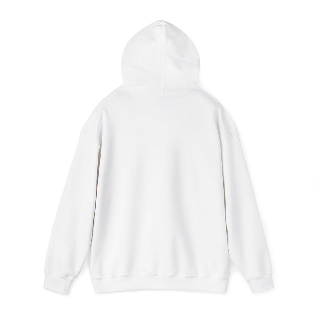 Still Becoming hoodie | retro rainbow wave graphic
