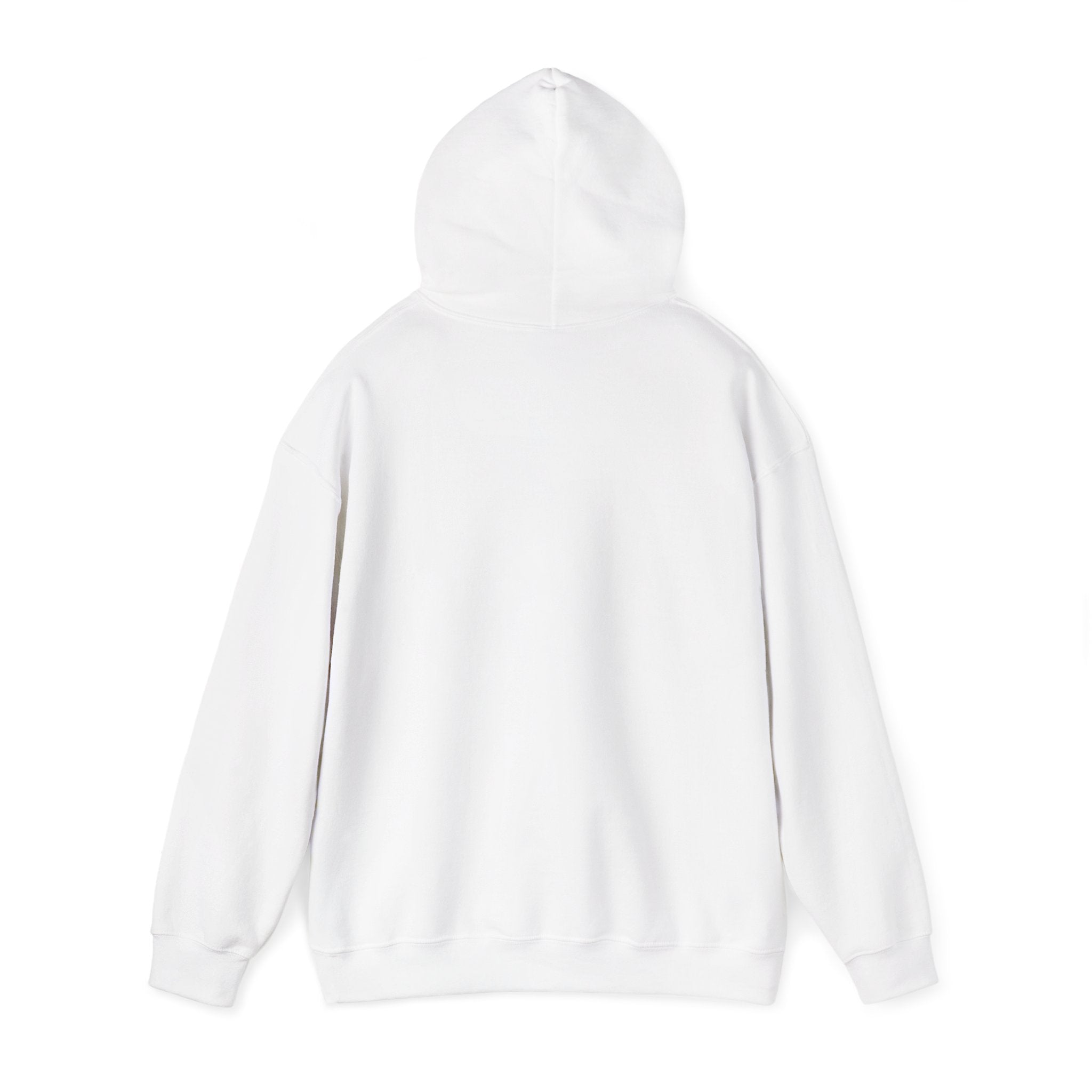 Still Becoming hoodie | retro rainbow wave graphic