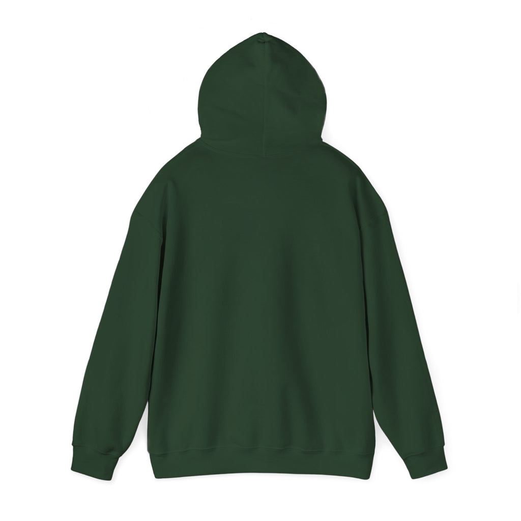Still Becoming hoodie | retro rainbow wave graphic