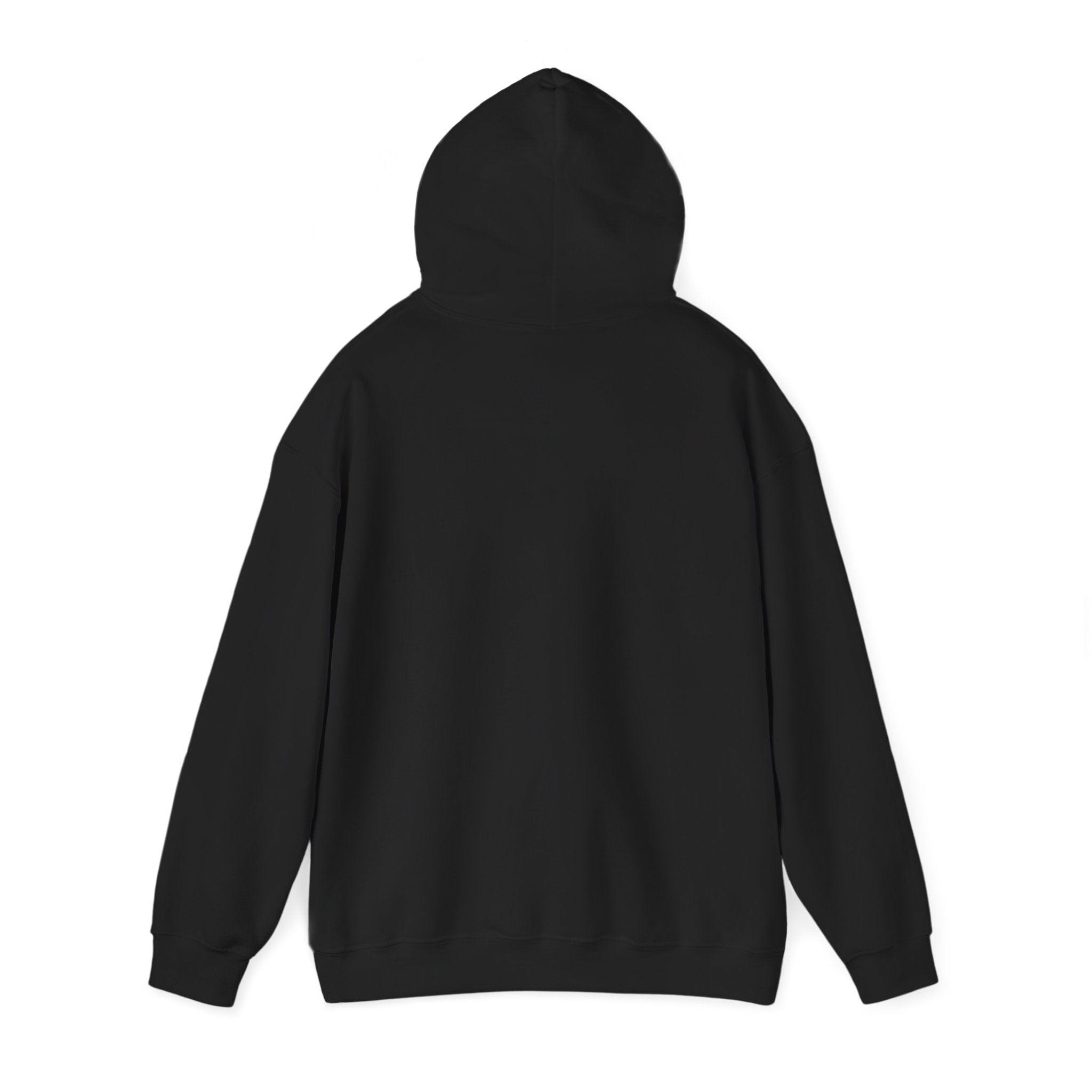 Still Becoming hoodie | retro rainbow wave graphic