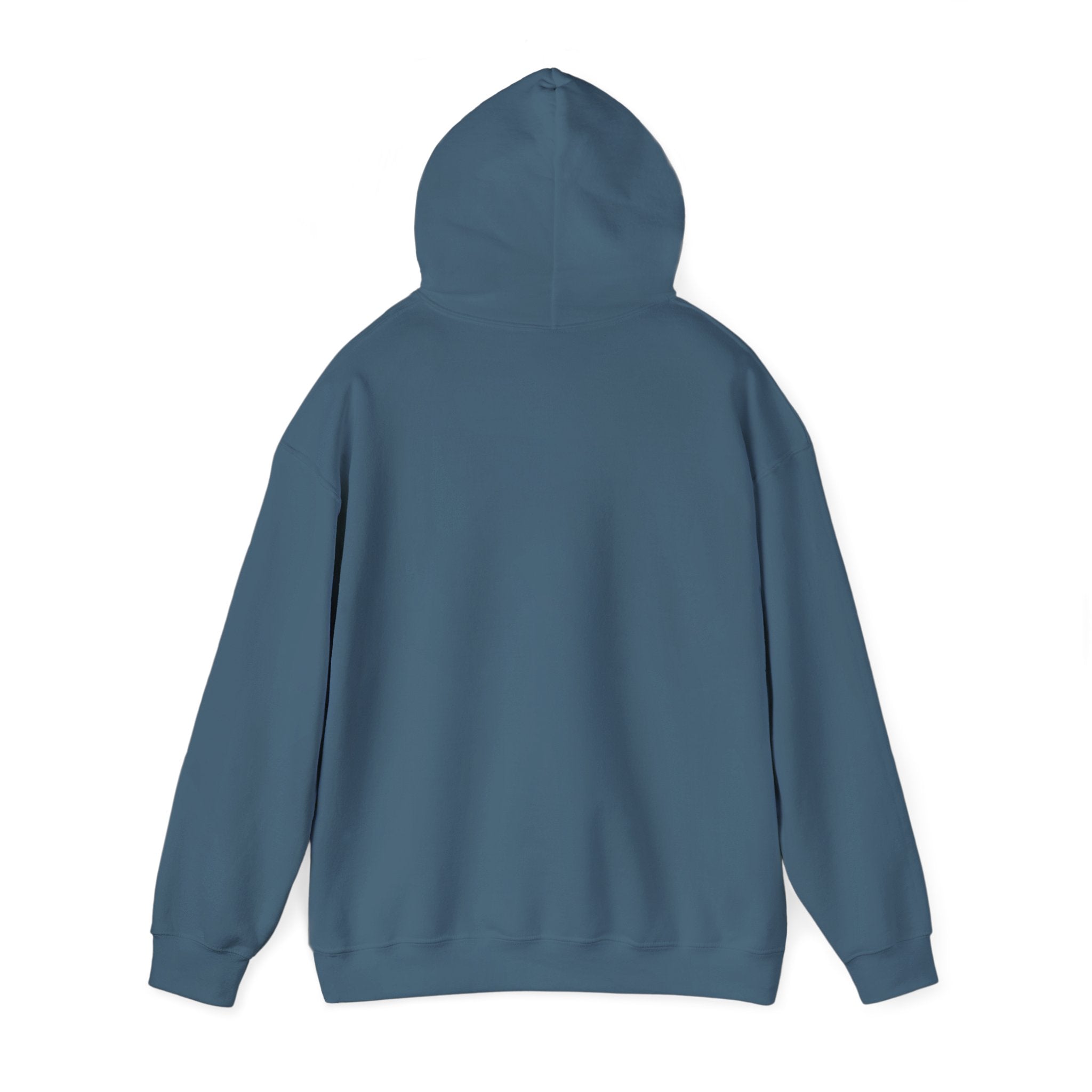 Still Becoming hoodie | retro rainbow wave graphic