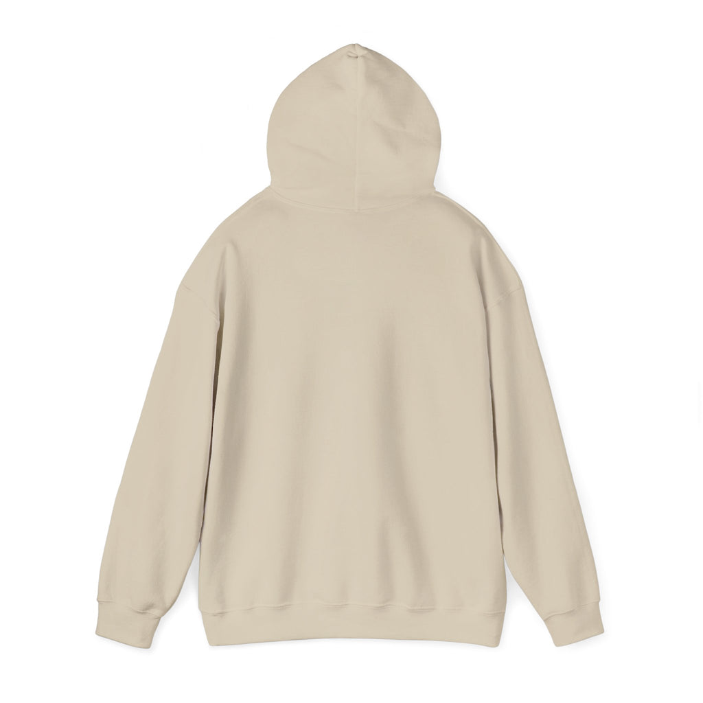 Still Becoming hoodie | retro rainbow wave graphic