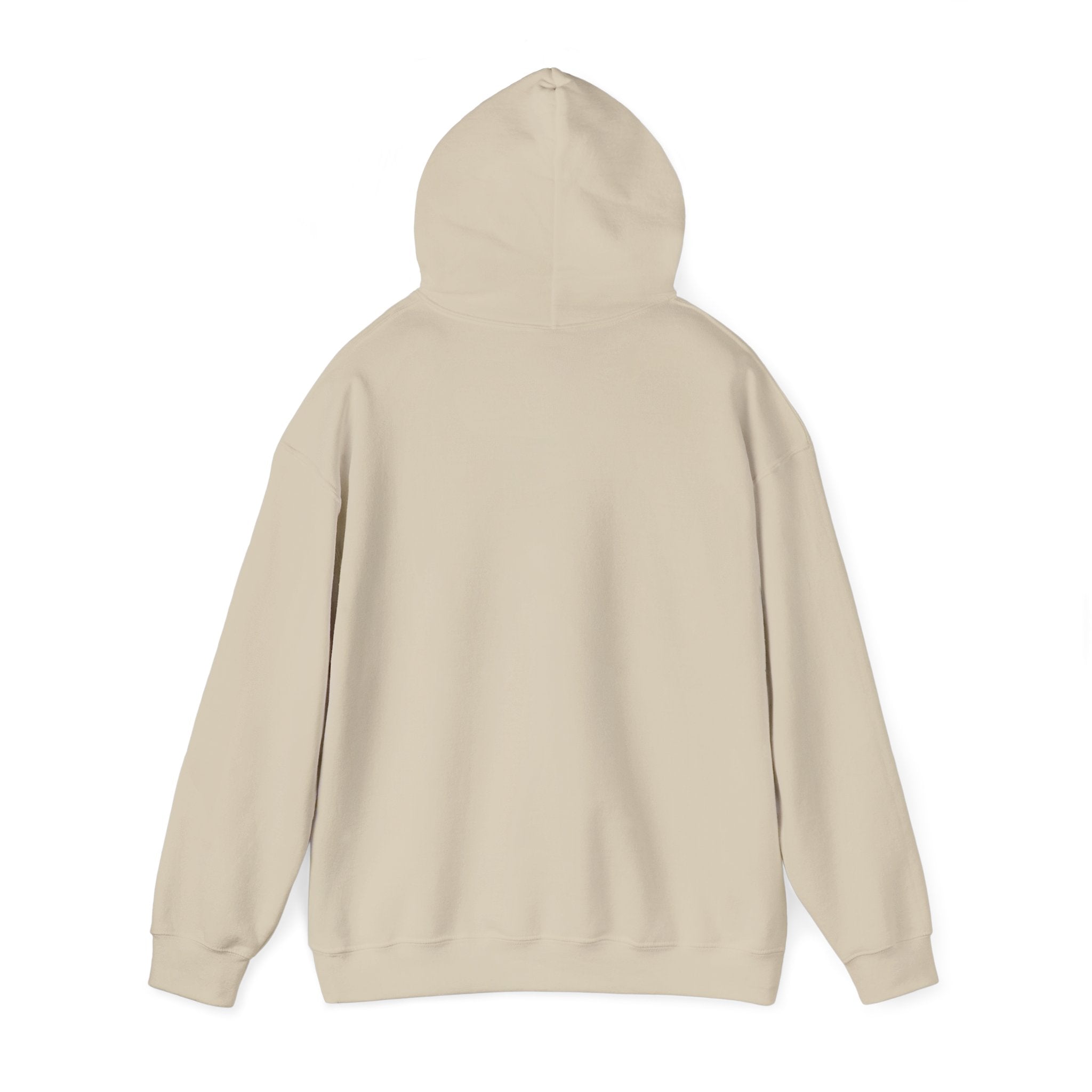Still Becoming hoodie | retro rainbow wave graphic