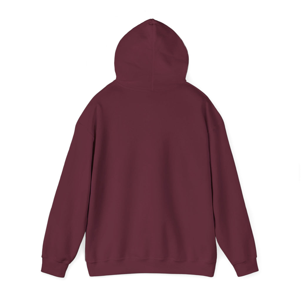 Still Becoming hoodie | retro rainbow wave graphic