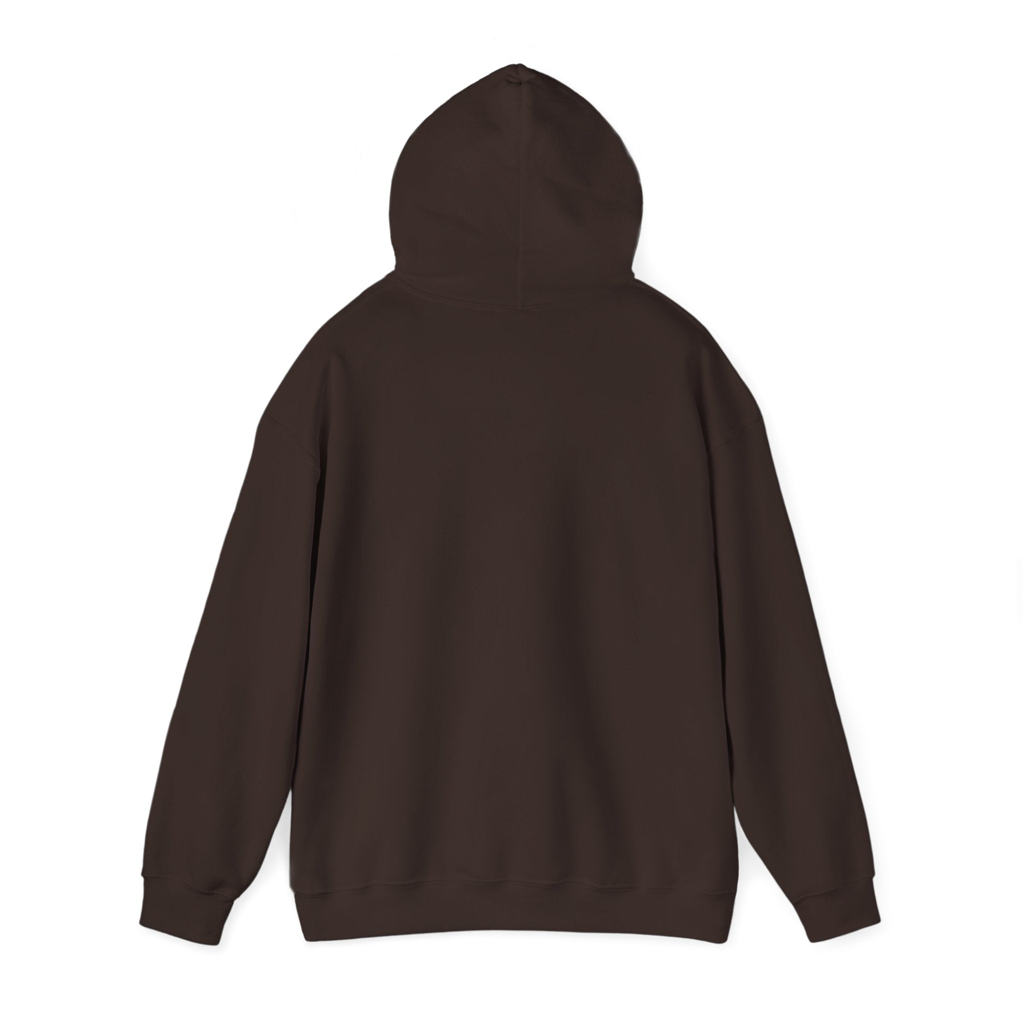 Still Becoming hoodie | retro rainbow wave graphic