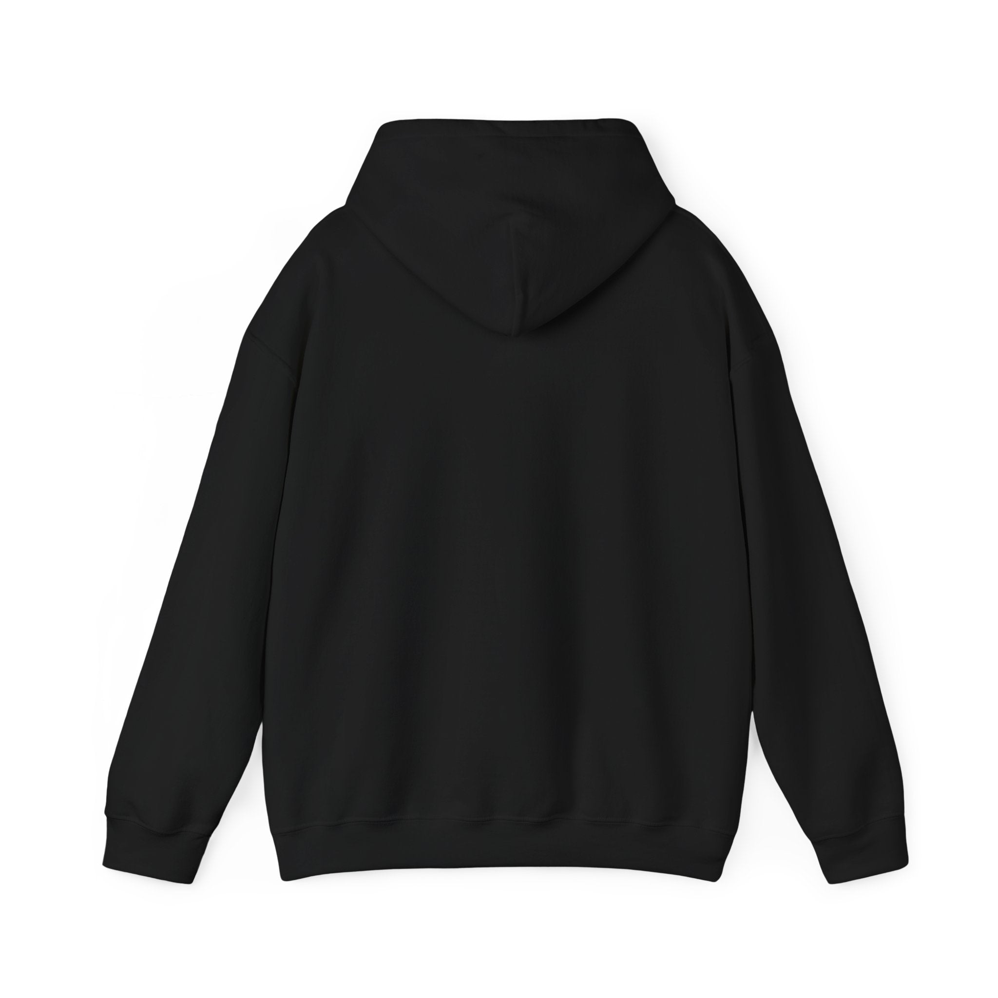 Still Becoming hoodie | retro rainbow wave graphic