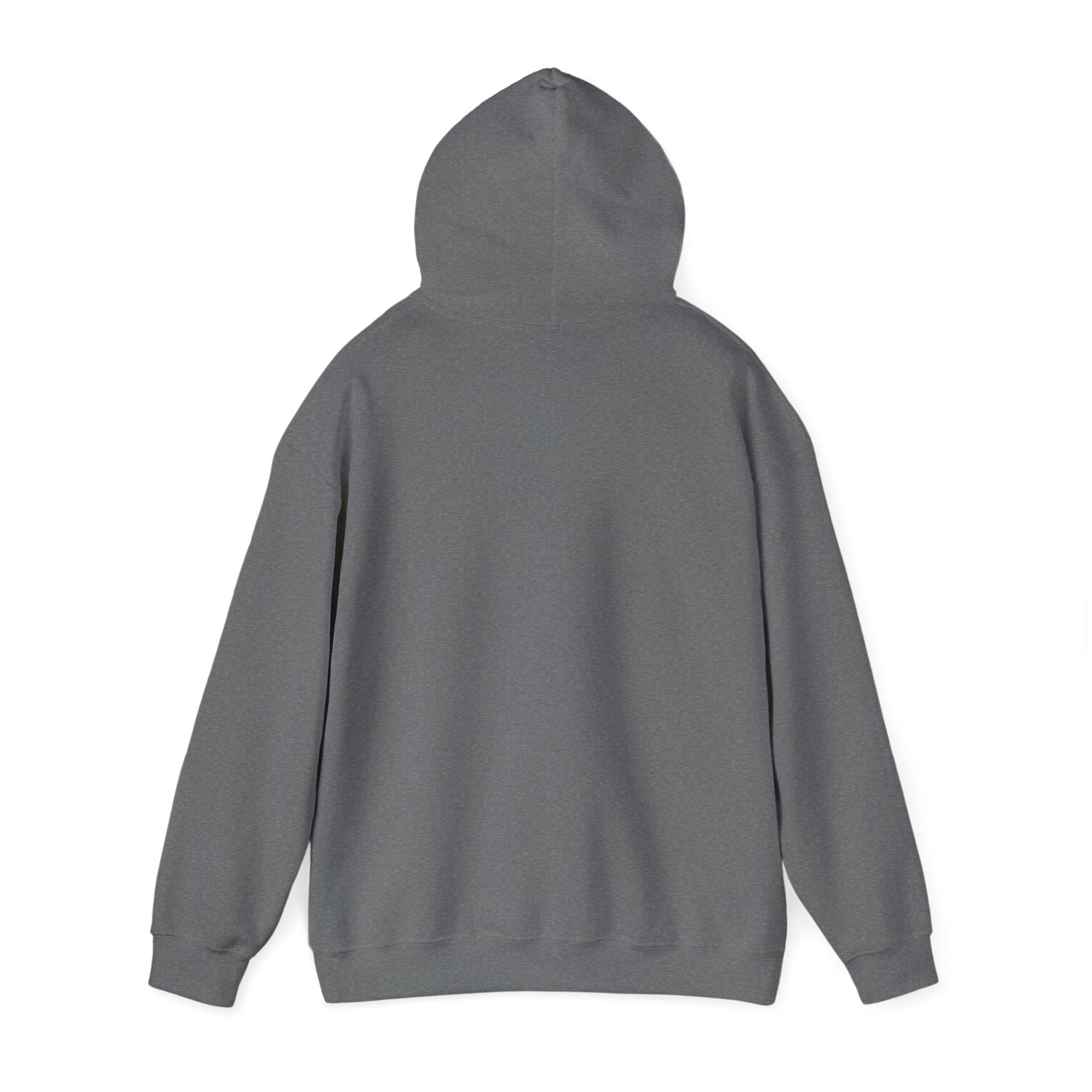 Still Becoming hoodie | retro rainbow wave graphic