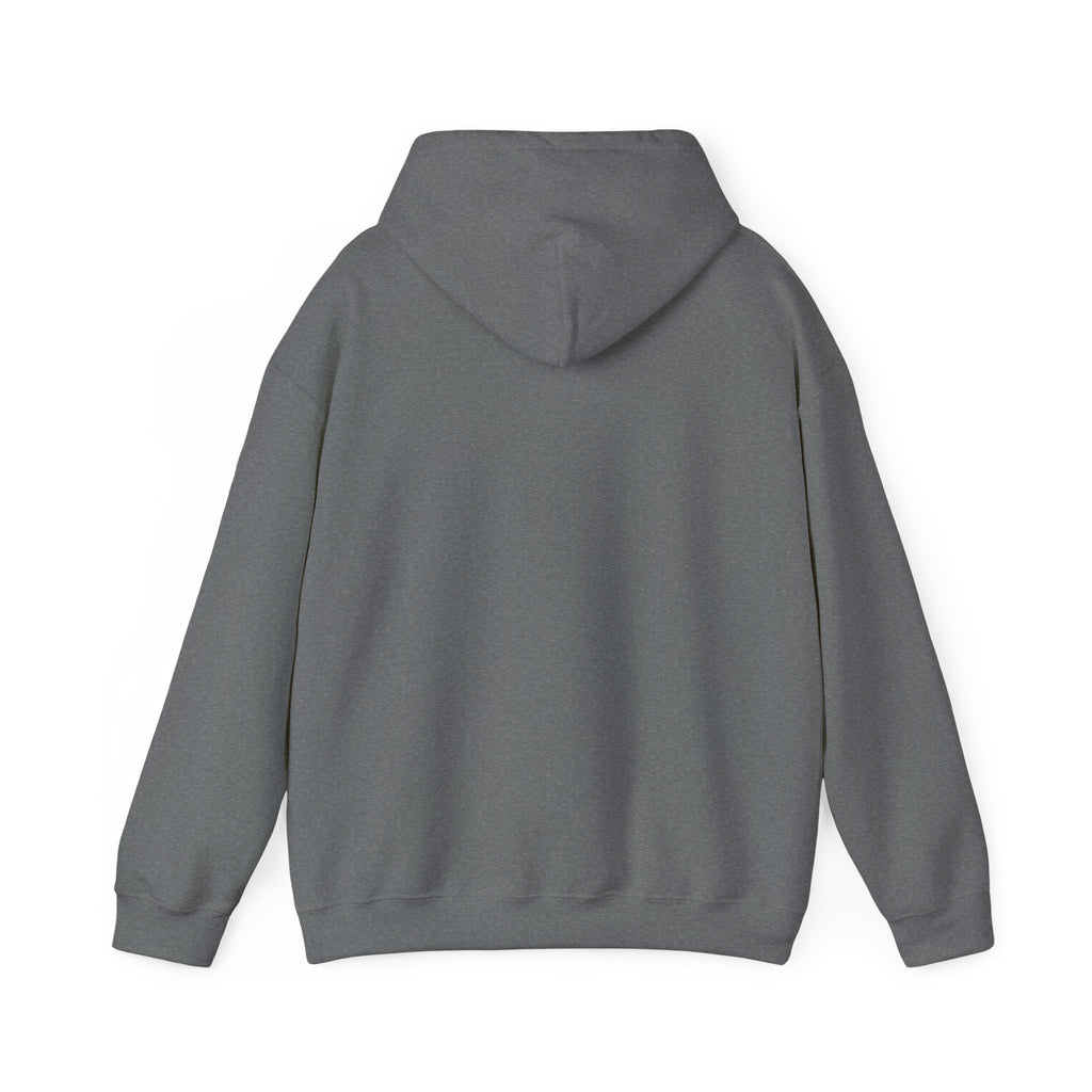 Still Becoming hoodie | retro rainbow wave graphic