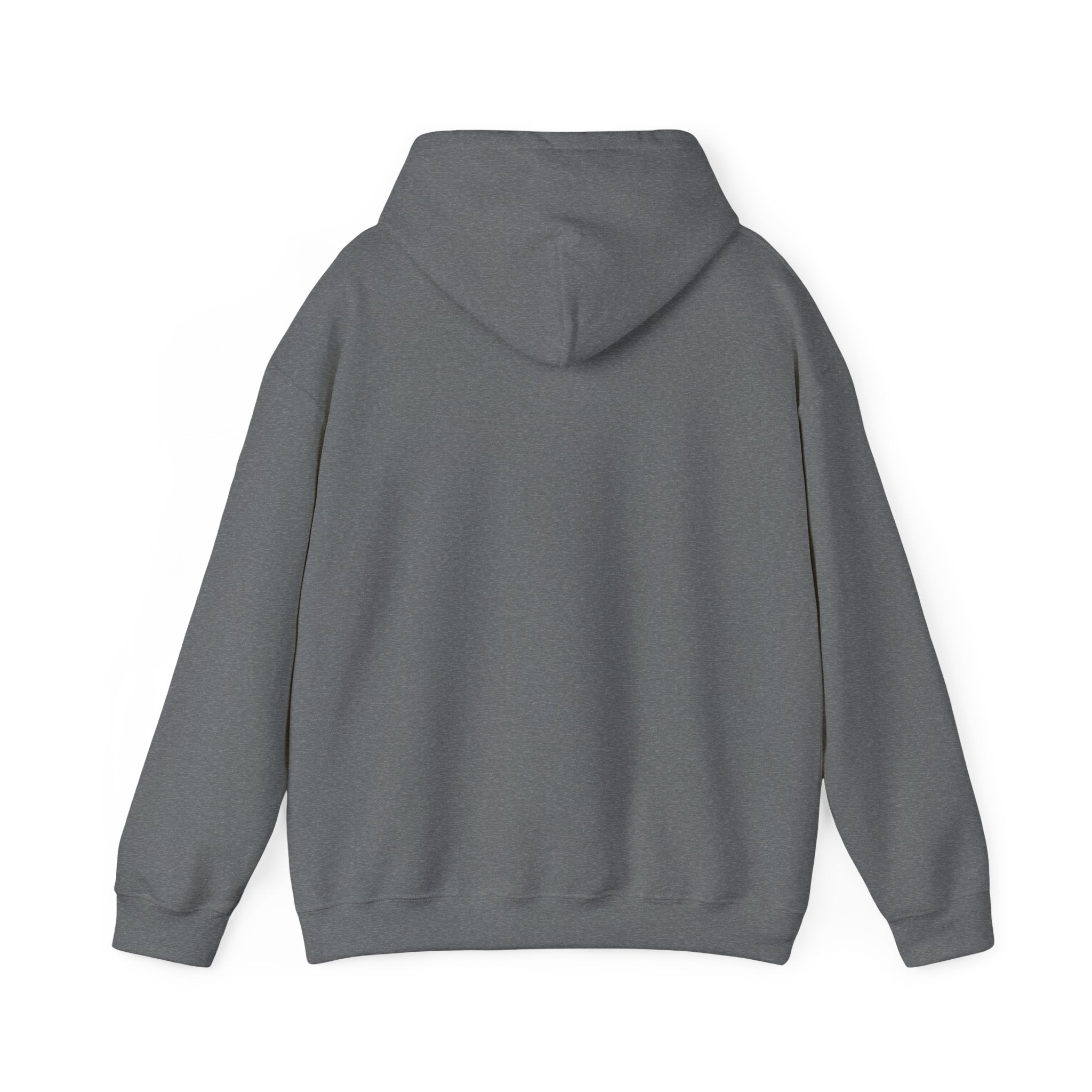 Still Becoming hoodie | retro rainbow wave graphic
