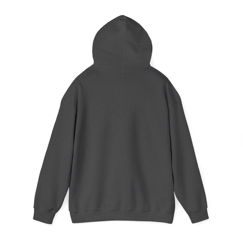 Still Becoming hoodie | retro rainbow wave graphic