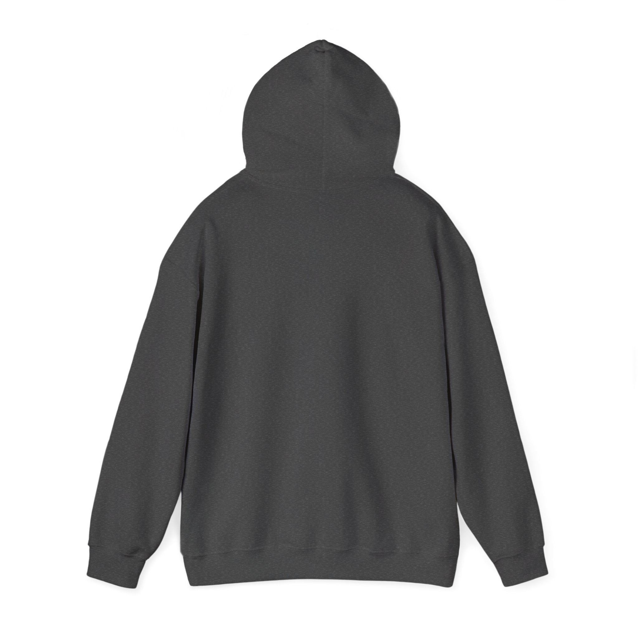 Still Becoming hoodie | retro rainbow wave graphic