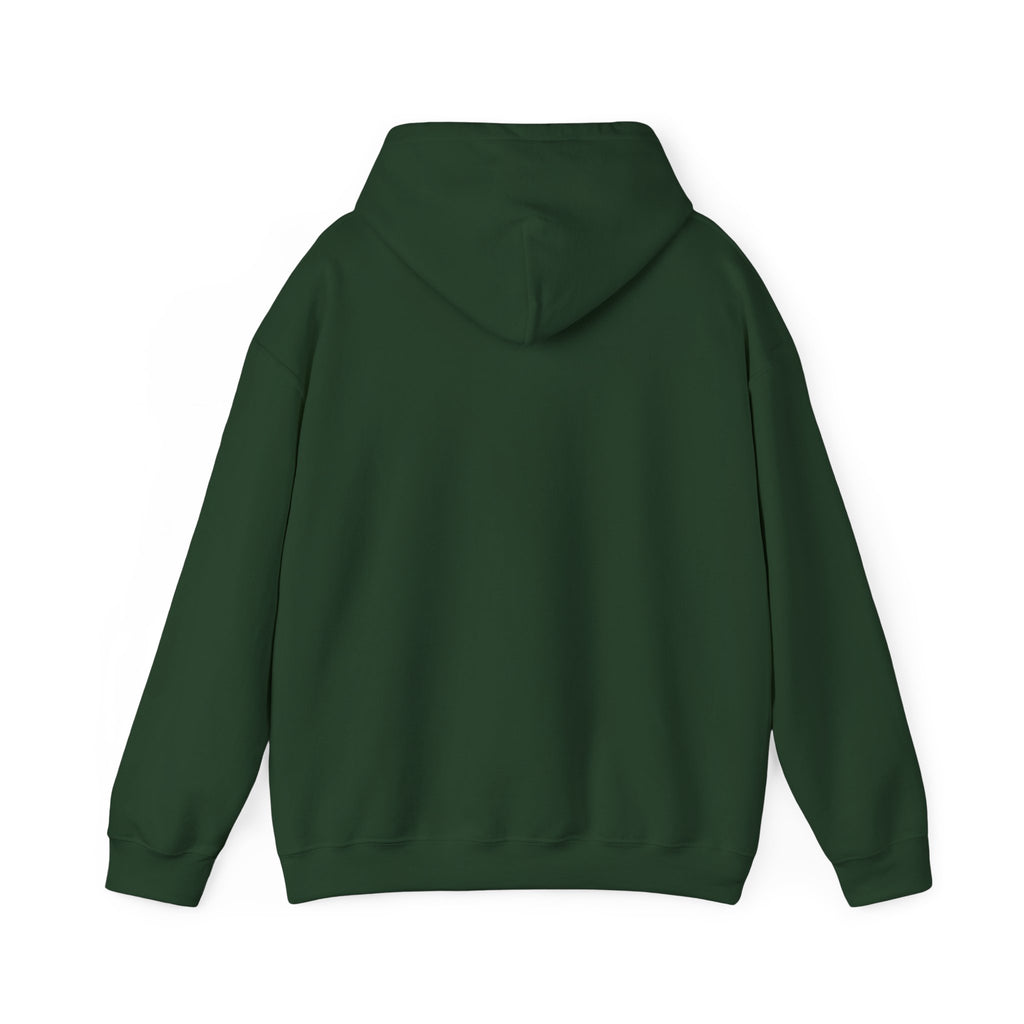 Still Becoming hoodie | retro rainbow wave graphic