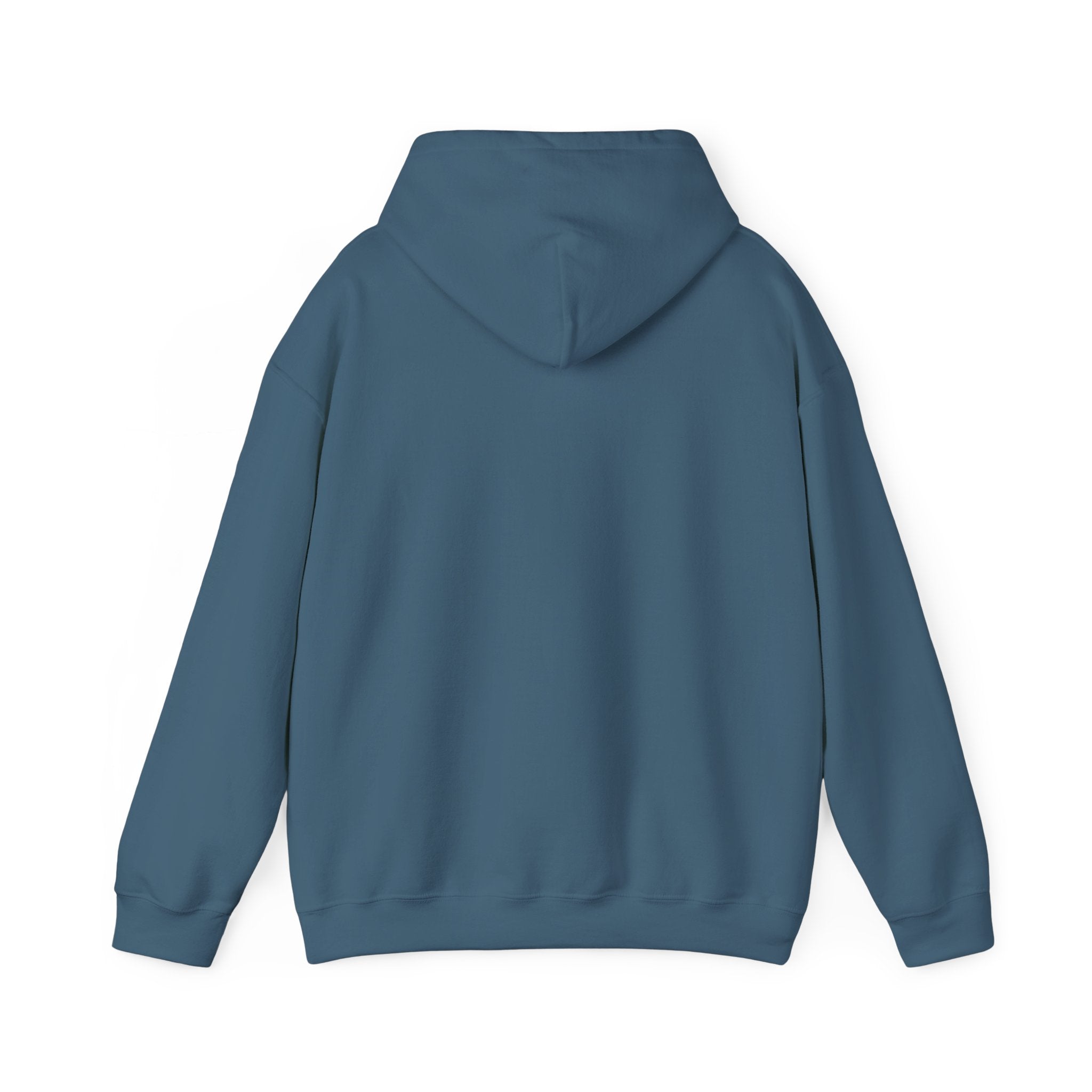 Still Becoming hoodie | retro rainbow wave graphic