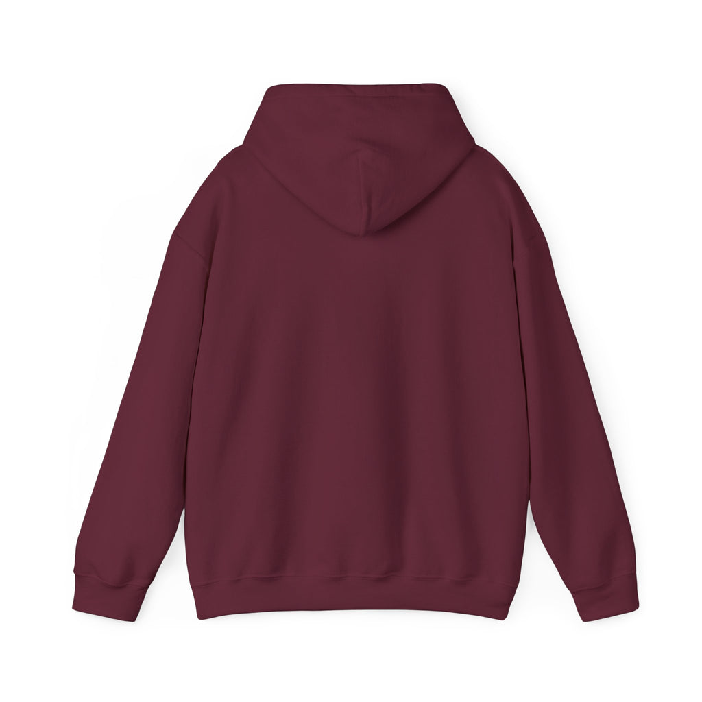 Still Becoming hoodie | retro rainbow wave graphic