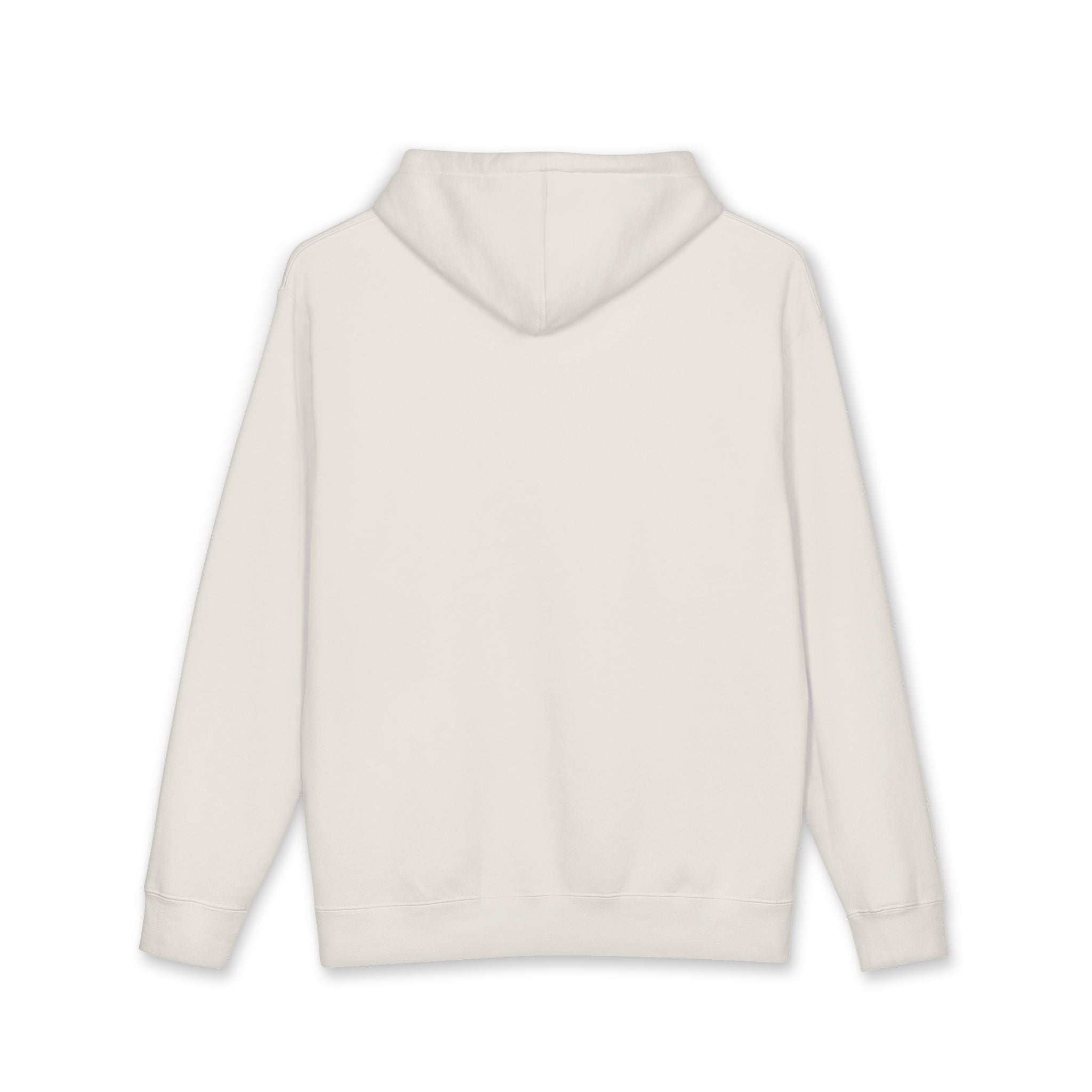 Jesus is King Hoodie