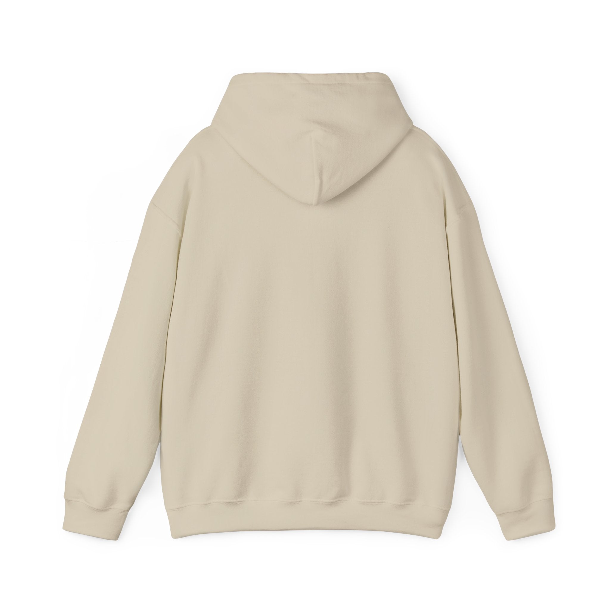 Still Becoming hoodie | retro rainbow wave graphic
