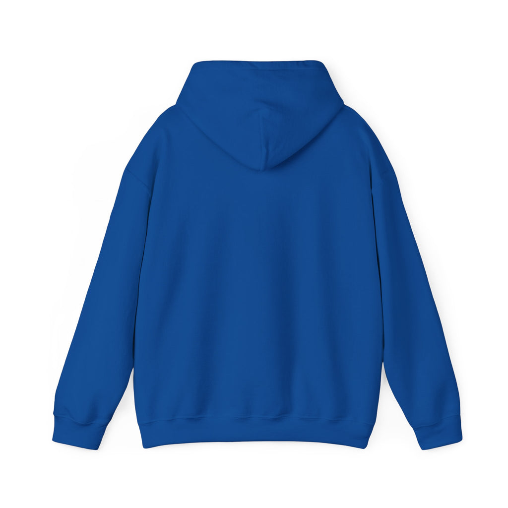 Still Becoming hoodie | retro rainbow wave graphic