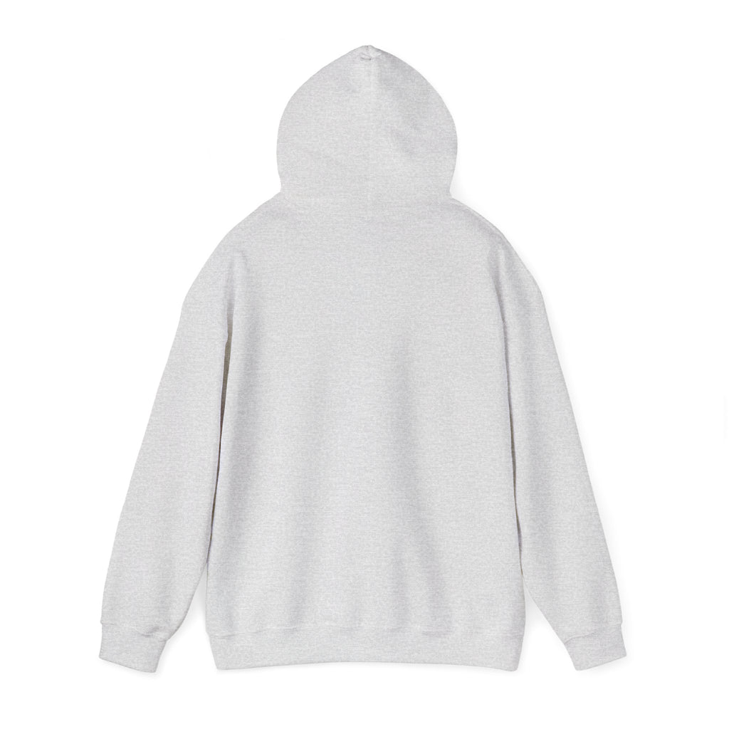 Still Becoming hoodie | retro rainbow wave graphic
