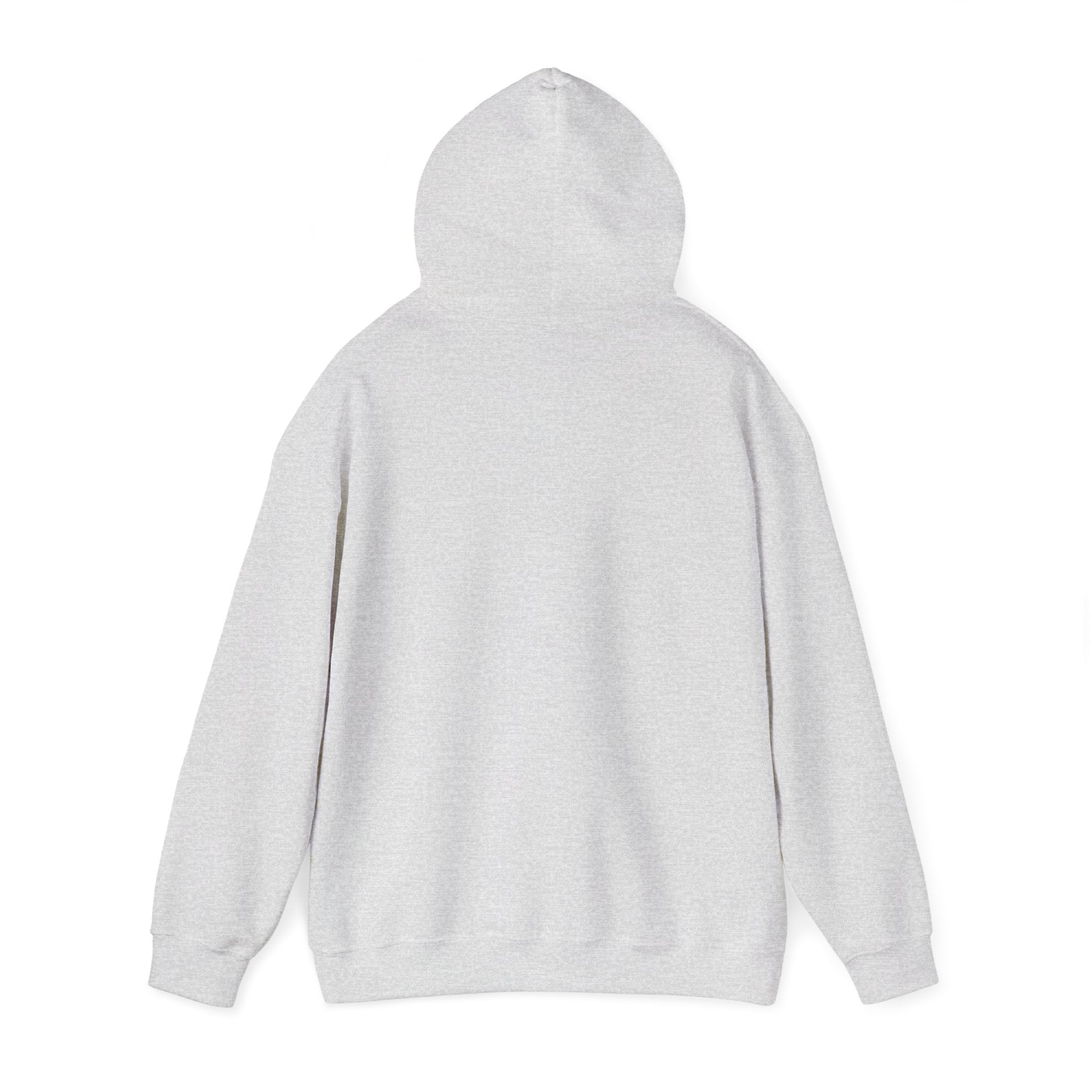 Still Becoming hoodie | retro rainbow wave graphic